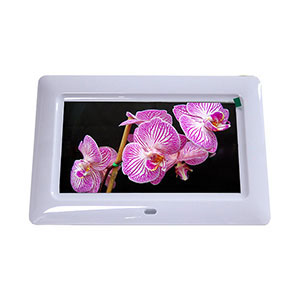 Digital Photo Frame M217 8-inch