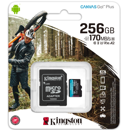 Kingston SDCG3 Canvas Go Plus 256GB Micro SD